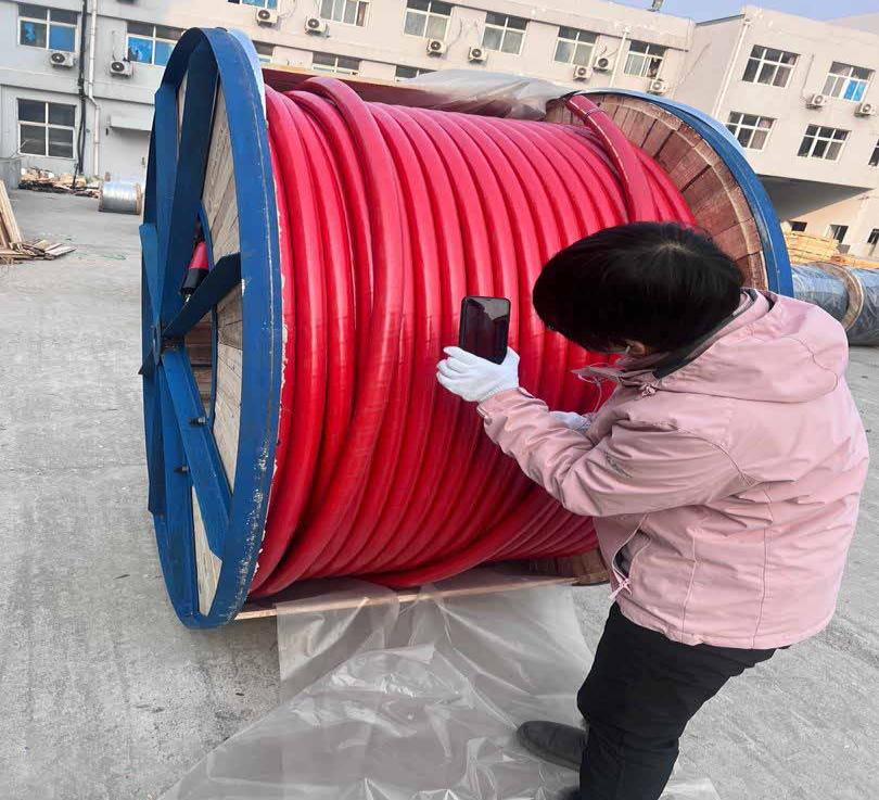 HV Cable & SF6 Gas Supply